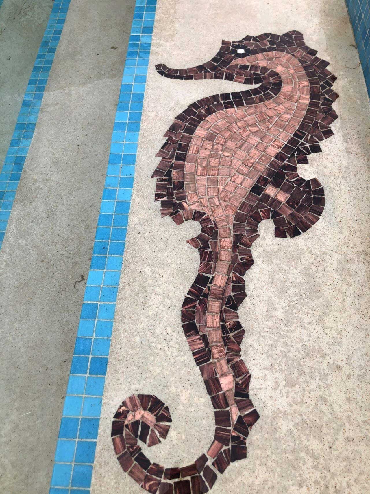 The team was tasked with a job to retain the original motives of the swimming pool