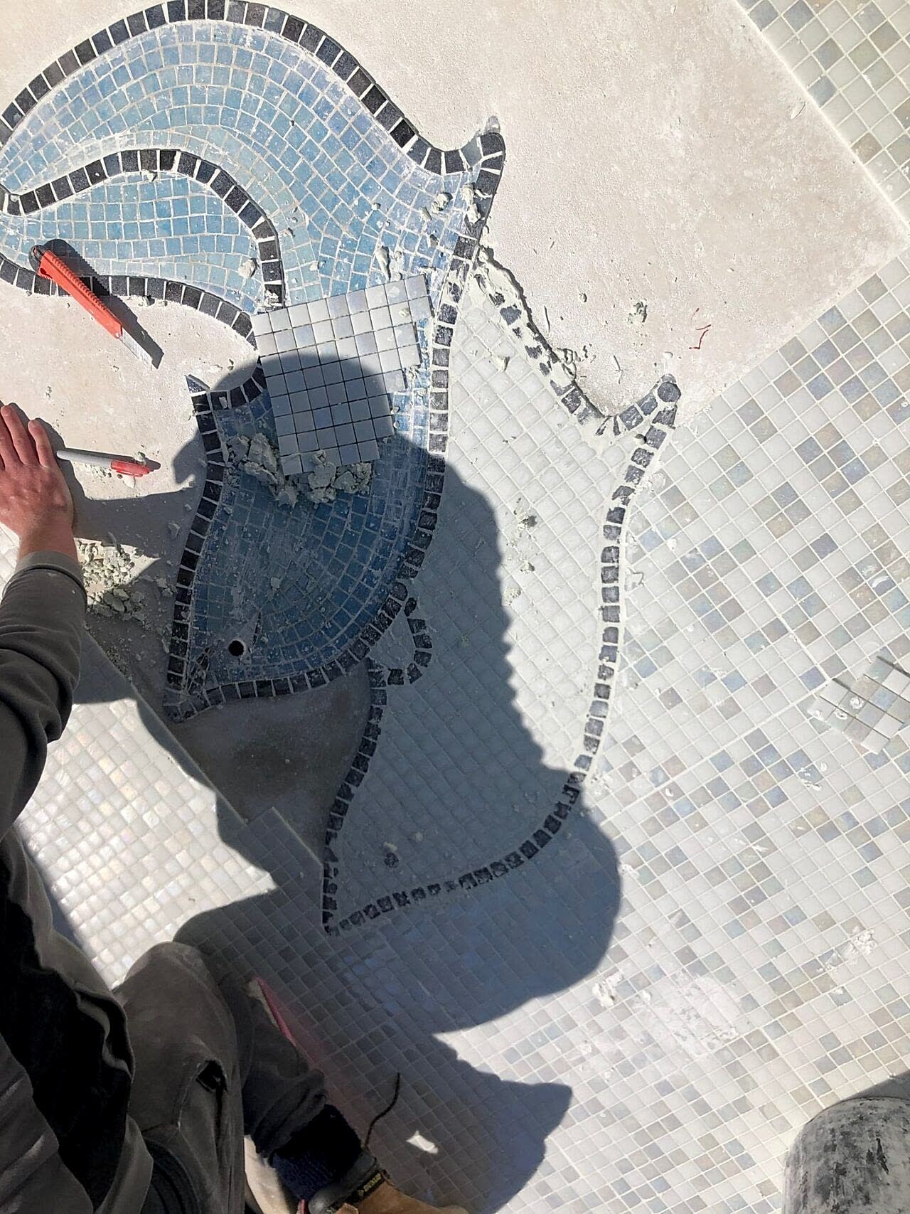 While retaining the original dolphin motif, we refreshed the artistic renderings with modern contour detailing