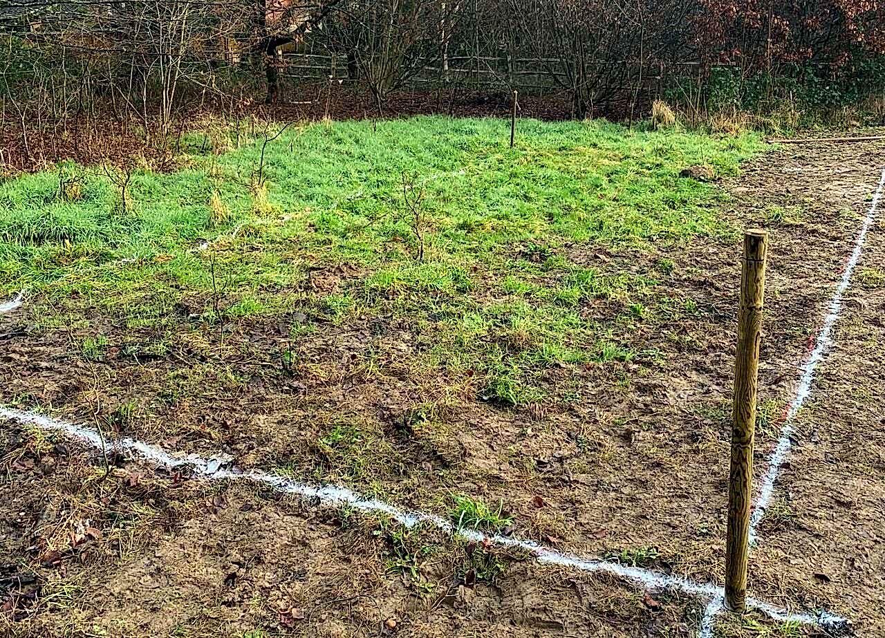 New Pool Guide – Site Evaluation & Preparation